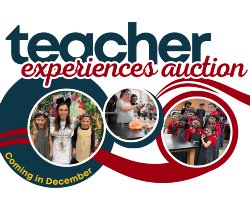 Teacher Experiences Auction